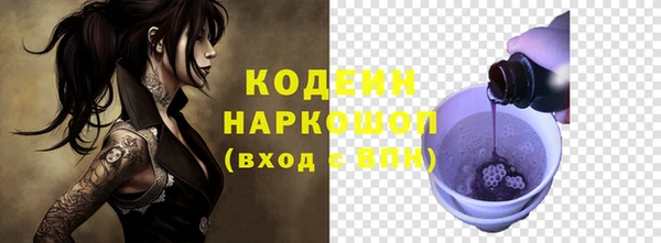 прущие грибы Абаза