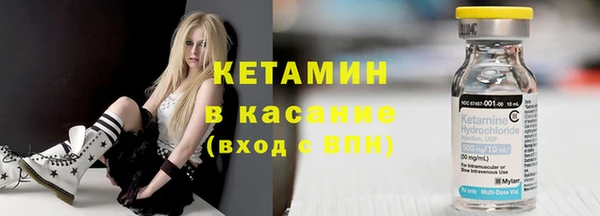 прущие грибы Абаза