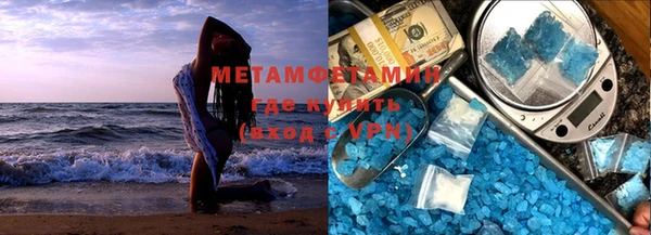 прущие грибы Абаза